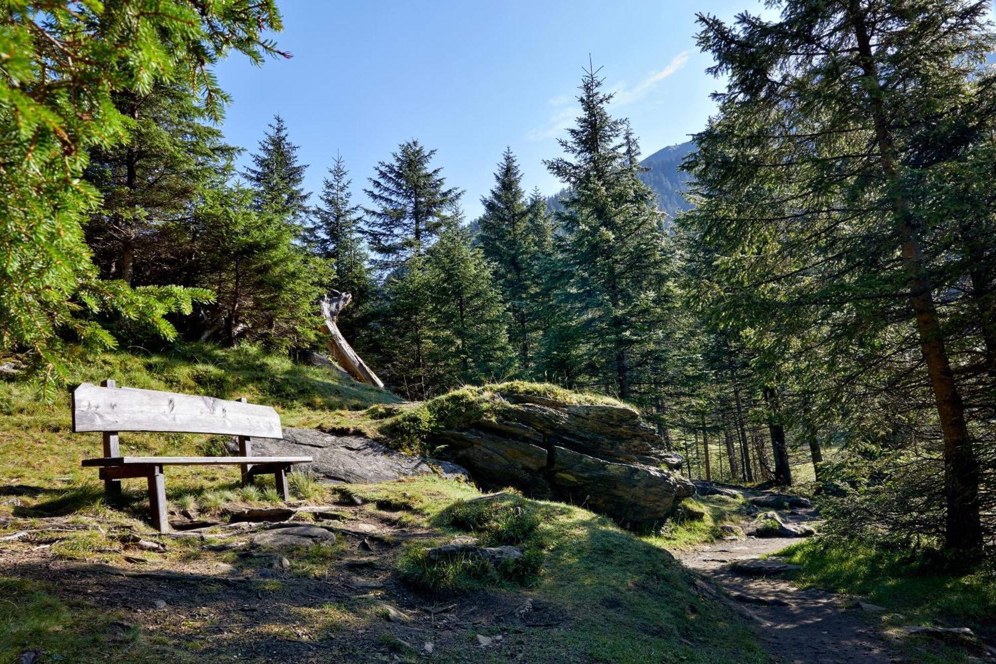 Ferienwohnung Innerhofer Hollersbach im Pinzgau Exterior photo