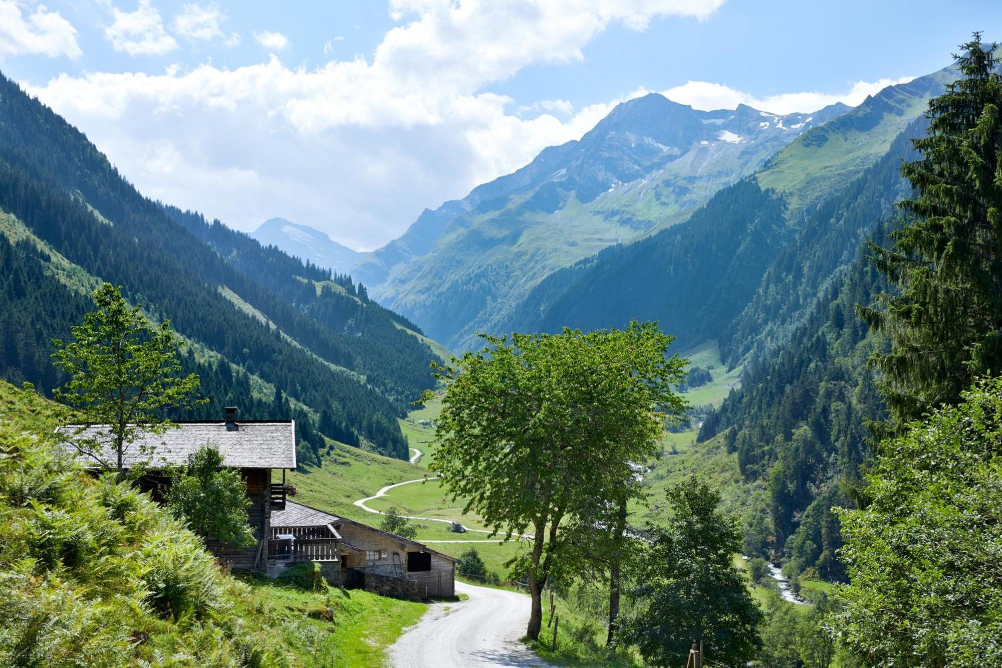Ferienwohnung Innerhofer Hollersbach im Pinzgau Exterior photo