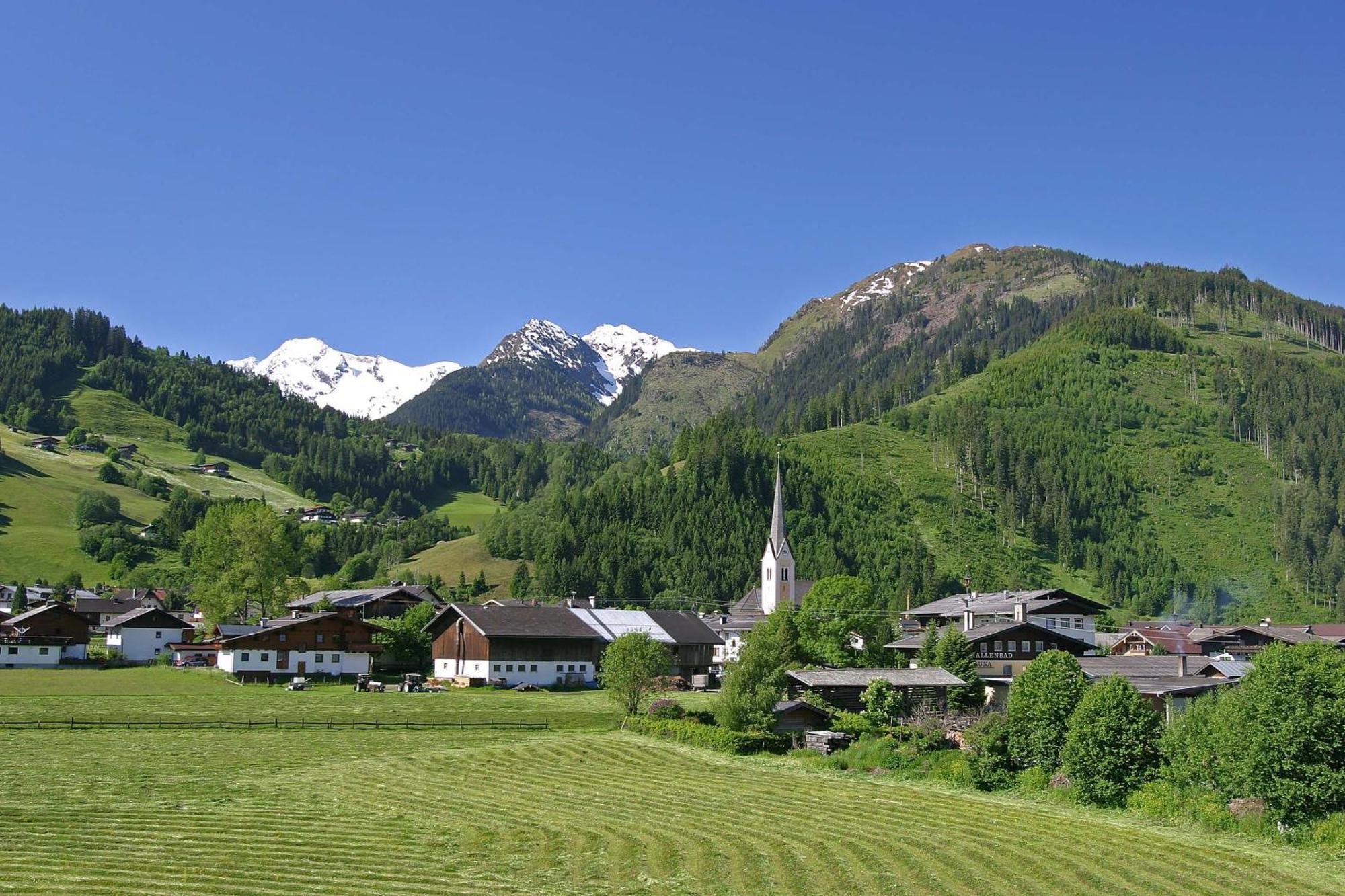 Ferienwohnung Innerhofer Hollersbach im Pinzgau Exterior photo